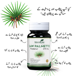 Saw Palmetto Plus 2